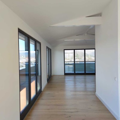 Schöne 3-Zimmer-Penthouse Wohnung mit Dachterasse in Bammental