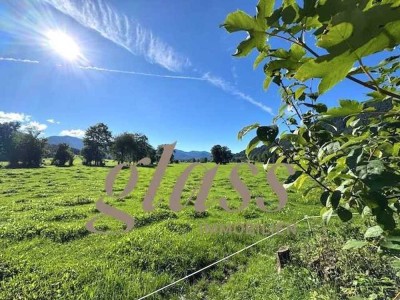Freiraum & Aussicht – Erdgeschosswohnung mit einzigartigem Blick in die Tegernseer Bergwelt
