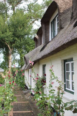 Karby an der Schlei, traumhafter Rückzugsort unter Reet