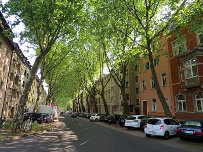 2-Zimmer-Penthouse-Wohnung mit Dachterrasse und EBK in Düsseldorf Düsseltal