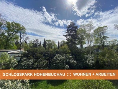 WOHNEN und ARBEITEN VERBINDEN   :::   SCHLOSSPARK HOHENBUCHAU in SCHLANGENBAD / GEORGENBORN