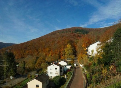 Helle 3-Zimmer-Eigentumswohnung 
mit Panoramablick in Neckarsteinach
