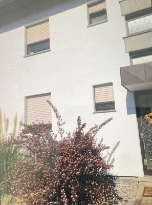 Attraktive und gepflegte 1-Raum-EG-Wohnung in Mannheim