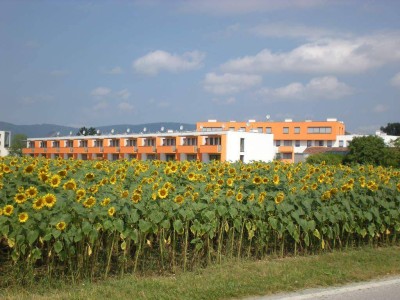 Wiedervergabe | Miete mit Kaufoption | Balkon | Terrasse | Eigengarten | 2 PKW Stellplatz im Freien