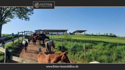 Reitanlage in Rheinland-Pfalz – moderner Aktivstall im Donnersbergkreis!