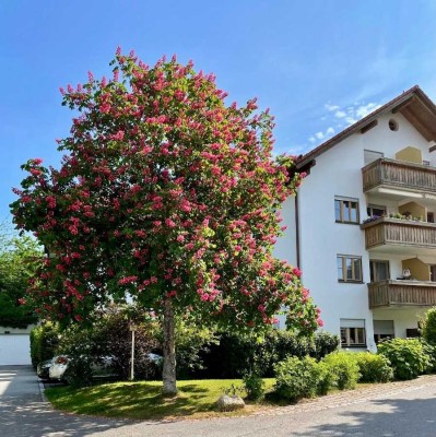 Modern gestaltete, sonnige 4-Zimmer Wohnung in ruhiger Lage mit Blick ins Grüne