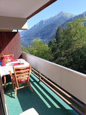 attraktive Wohnung in guter Lage mit sehr schöner Aussicht in Bad Gastein -provisionsfrei