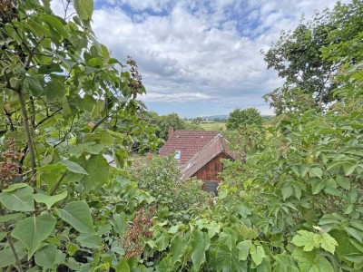 Verwirklichung auf 4 Ebenen mit Leineblick, unweit der Marienburg - ZFH mit Doppelgarage, 3 Terrasse