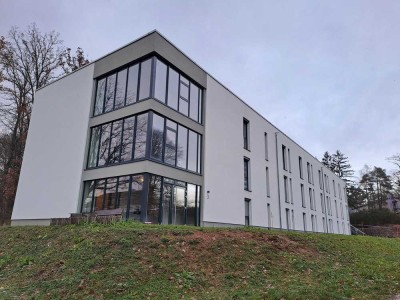 Vollmöbilierte Einzimmerwohnung in Hoppstädten-Weiersbach