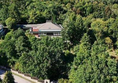 PRIVATVERKAUF: Repräsentative Architektenvilla mit 3000m² Grund und unverbaubarem Fernblick am Südhang des Leithagebirges.