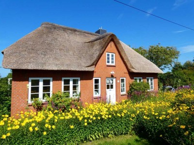 Top Reetdachhaus unterm Nordseedeich in Westerhever