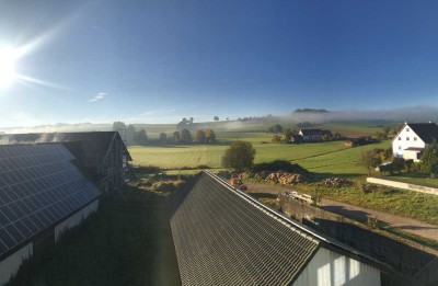 Sehr großzügige und sanierte Wohnung in Teugn