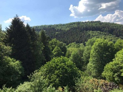 Obergeschosswohnung mitten im grünen in Neckargemünd/Dilsberg