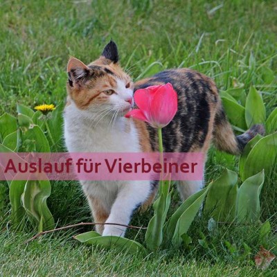 Die Steinzeit ist vorbei! Energieeffizient Bauen.