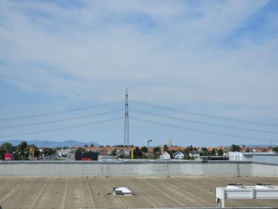 Helle, sonnige 3 Zimmerwohnung mit Balkon - beim Marchfeldcenter