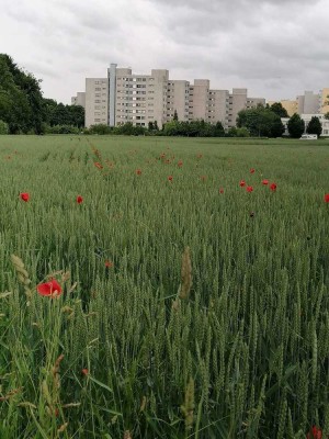 Gepflegte & sonnige 3,5-Zimmer-Penthaus Wohnung mit Weitblick in Stuttgart-Möhringen