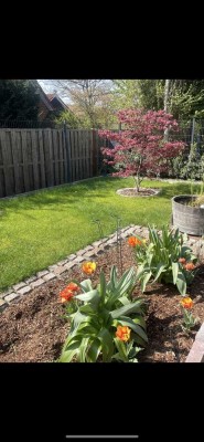 Neuwertiges Einfamilienhaus mit Garten und 6 Zimmern in Thieshope
