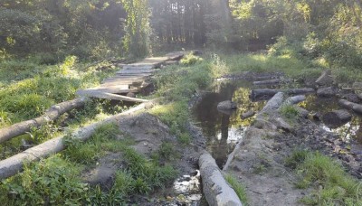 Familienfreundliches wohnen - am Wald und dennoch zentral
