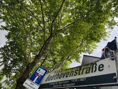 Möbliertes Apartment mit Balkon in Top Lage von Ratingen. Erstbezug nach Sanierung. NK Inclusive