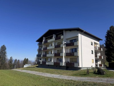1-Zimmer-Appartement in ruhiger Berglage