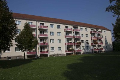 Gemütliche 3 Raumwohnung