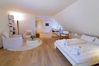 Hochwertig eingerichtetes, möbliertes  1-Zimmer Apartment unter dem Dach mit kleinem Balkon