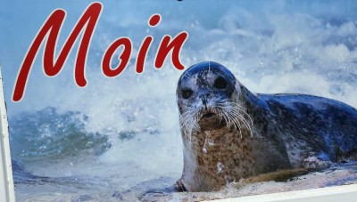 Wohnen am MEER, NORDSEE Gepflegtes Einfamilienhaus hinterm Deich