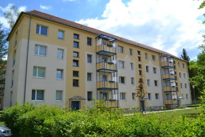Wohnen im Grünen - große 2-Raum Wohnung in Trattendorf zu vermieten !