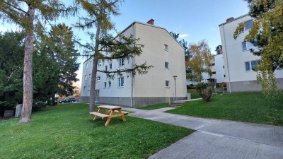 Absolute Ruhelage in der Prießnitzgasse, Kamin, Loggia, großer Keller, sehr gepflegter Zustand