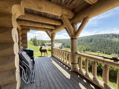 ***FAMILIEN - RÜCKZUGSORT INMITTEN DER NATUR***