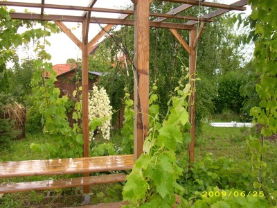 Haus in sonniger Ruhelage mit großen Grundstück