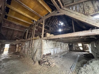 Denkmalgeschütztes Schafhaus mit großem Grundstück in Süßen