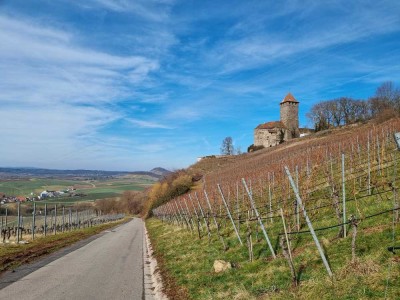 � Reiheneckhaus mit Südgarten und Burgblick!