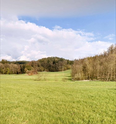 Musterhausaktion inkl. Grundstück: Kompakt-Bungalow (80m2) 8km nahe Michaelbeuern (Wagenham)