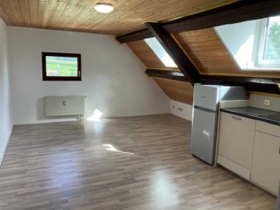 Exklusive, gepflegte 1-Raum-Dachgeschosswohnung in Steinenbach/Aulendorf