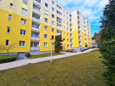 Single Wohnung nähe Doblhoffpark Baden!