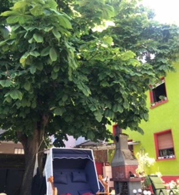 Mehrfamilienhaus mit kleinem Garten und Potential auf dem Weiherberg - Renovierungsbedürftig