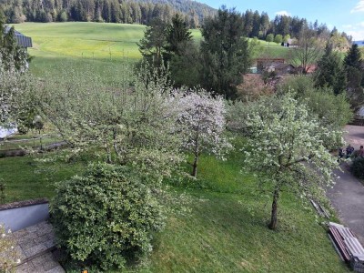 3-Zimmer-Dachgeschosswohnung mit Balkon und EBK in Baiersbronn. Ruhige Aussichtslage im Grünen