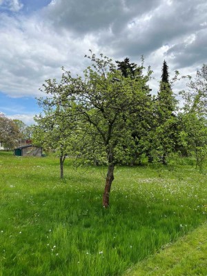 Sehr schönes bezahlbares Grundstück in Moritzburg!