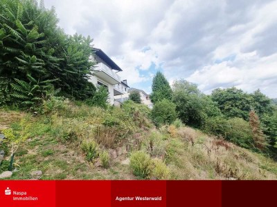 Selters (Ts): Besondere Immobilie ( Wohnraumwunder)  mit Fernblick und schönem Terrassengrundstück