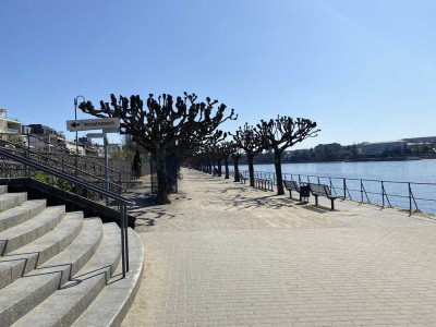 Helles, modernes Appartement in unmittelbarer Nähe der Rheinpromenade