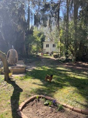 Reihenhaus mit großem Garten ruhige Lage Köln-Weiden