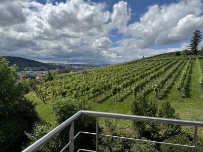 Schöne helle hochwertige Wohnung über 2 Etagen zw. Stgt-Untertürkheim und Luginsland