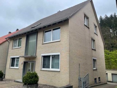 2 Häuser in Grünenplan mit schönem Grundstück