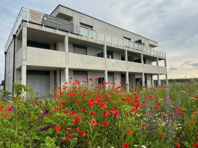 2,5-Zimmer Gartenwohnung nahe historischen Stadtzentrum