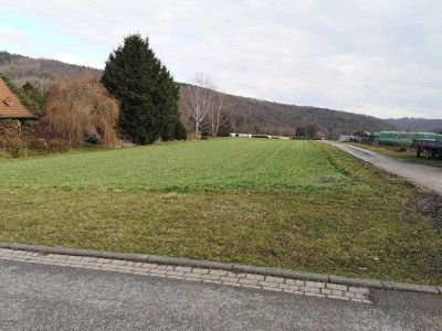 Das Einfamilienhaus mit dem schönen Satteldach in Weißenborn - Freundlich und gemütlich