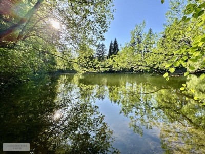 PRIVATE RETREAT NUR 30 MINUTEN VON DER OPER /// MIT EIGENEM PARK, WALD UND BADESEE