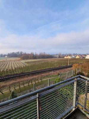 Stilvolle 4,5-Zimmer-Wohnung mit Top Blick, 2 Balkonen und EBK in Wasserburg