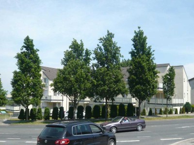 Möbliertes, gepfelgtes Appartement, ideal für Studenten, Nähe Universität, Singels und Pendler