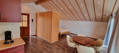 Teilmöblierte, geräumige und modernisierte 1-Zimmer-Wohnung mit Balkon und Einbauküche